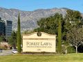 Cem Forest Lawn Memorial Park - Hollywood Hills.jpg