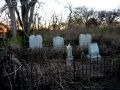 Cem Hargis Family Cemetery - TX.jpg