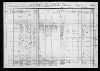 1910 United States Federal Census(115).jpg