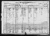 1920 United States Federal Census(102).jpg