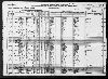 1920 United States Federal Census(56).jpg