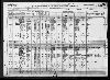 1920 United States Federal Census(61).jpg