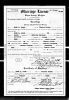 Michigan Marriage Records 18671952.jpg